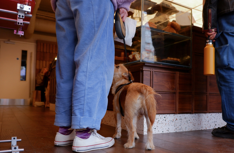 A picture of the place